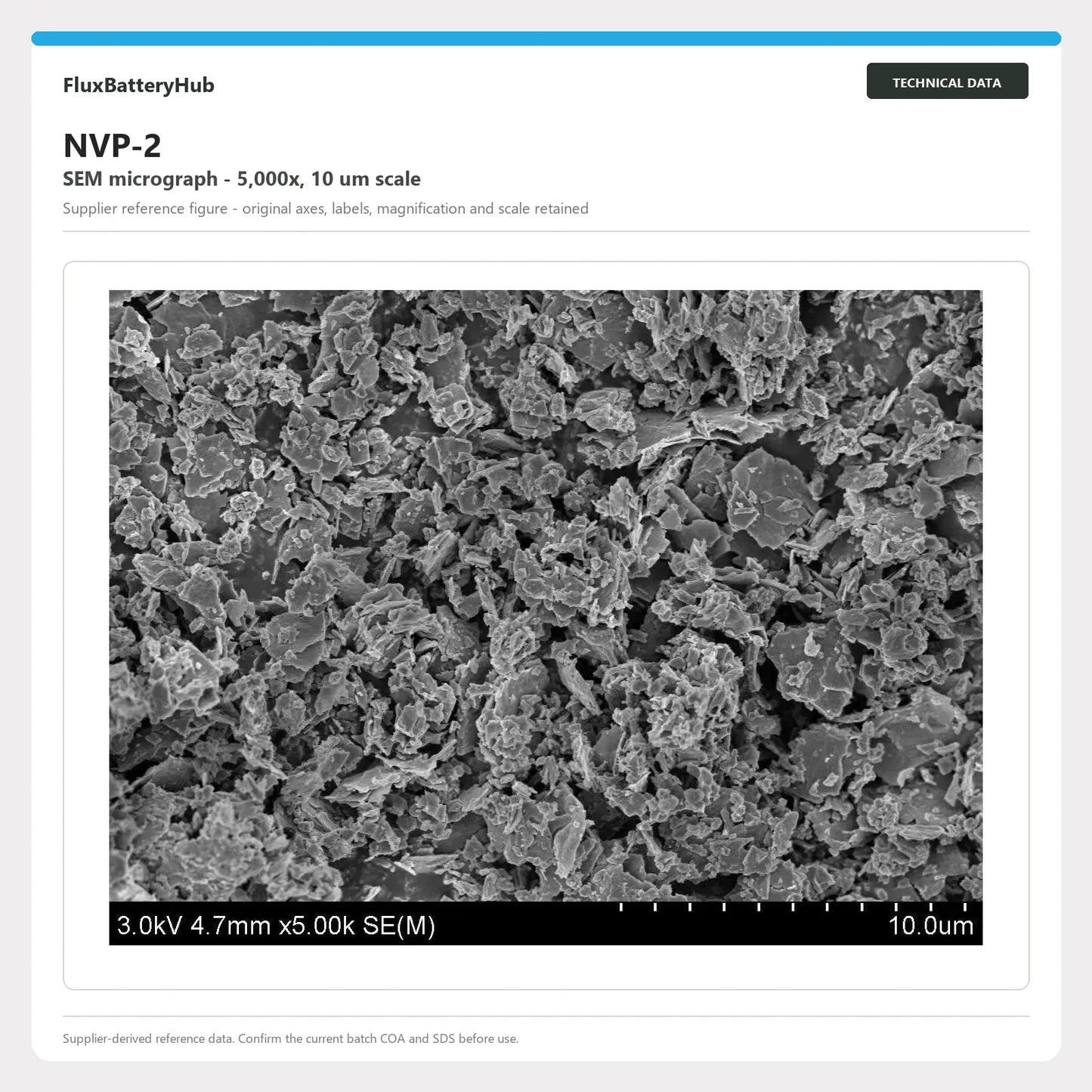 NVP-2 supplier SEM micrograph at 5,000x with 10 um scale