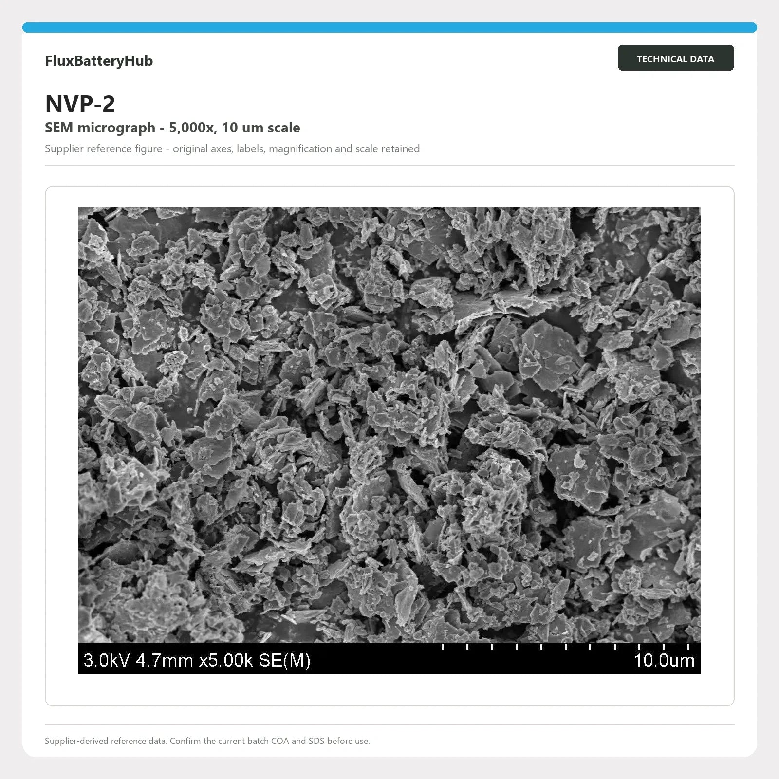 NVP-2 supplier SEM micrograph at 5,000x with 10 um scale