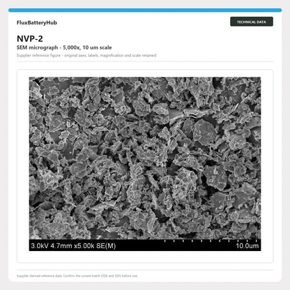 NVP-2 supplier SEM micrograph at 5,000x with 10 um scale